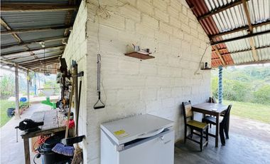 Se vende Finca productora en San Roque, Antioquia