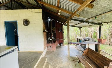 Se vende Finca productora en San Roque, Antioquia