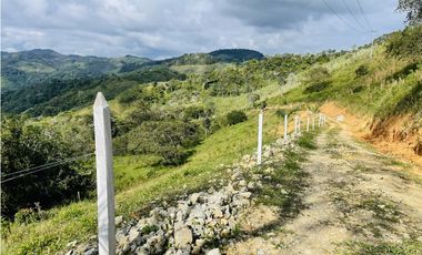 Se vende Finca productora en San Roque, Antioquia