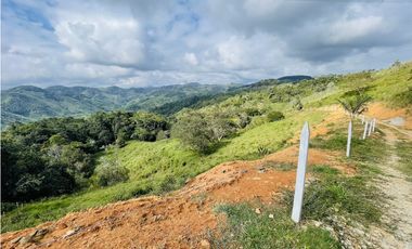 Se vende Finca productora en San Roque, Antioquia