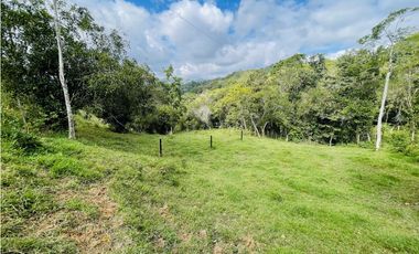 Se vende Finca productora en San Roque, Antioquia