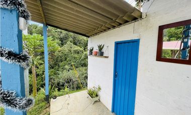 Se vende Finca productora en San Roque, Antioquia
