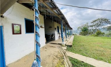 Se vende Finca productora en San Roque, Antioquia