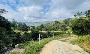 Se vende Finca productora en San Roque, Antioquia