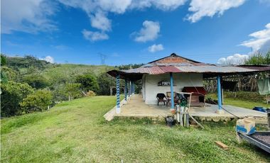 Se vende Finca productora en San Roque, Antioquia