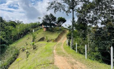 Se vende Finca productora en San Roque, Antioquia