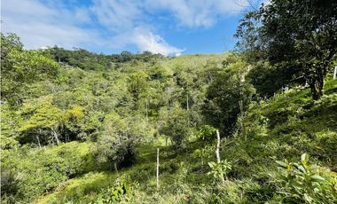 Se vende Finca productora en San Roque, Antioquia