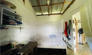 Se vende Finca productora en San Roque, Antioquia