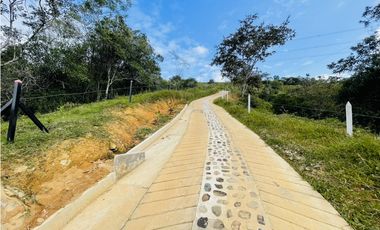 Se vende Finca productora en San Roque, Antioquia