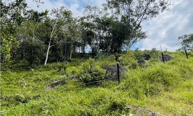 Se vende Finca productora en San Roque, Antioquia