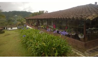 Finca en la union - Venta