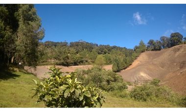 Finca en la union - Venta