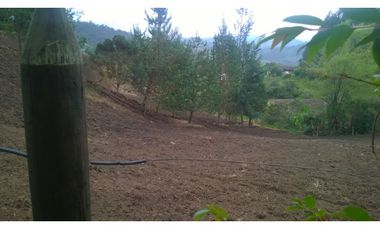 Finca en la union - Venta