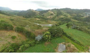 Finca en la union - Venta