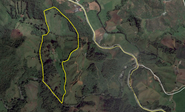 Finca en la union - Venta