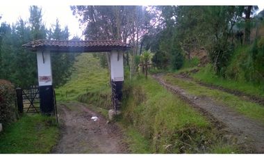 Finca en la union - Venta