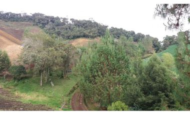 Finca en la union - Venta