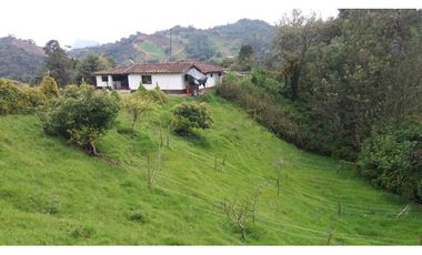 Finca en la union - Venta