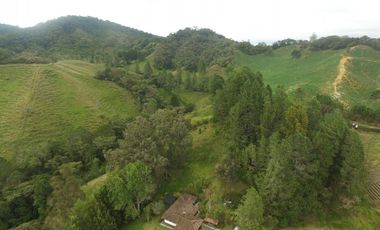 Finca en la union - Venta