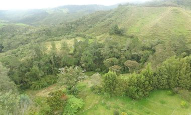 Finca en la union - Venta