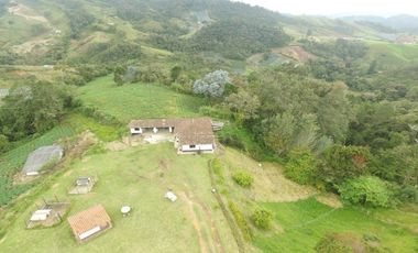 Finca en la union - Venta