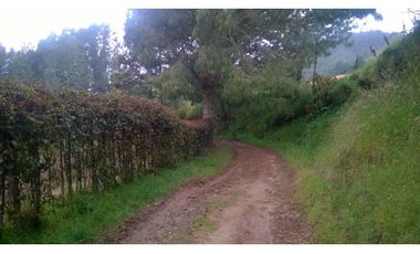 Finca en la union - Venta