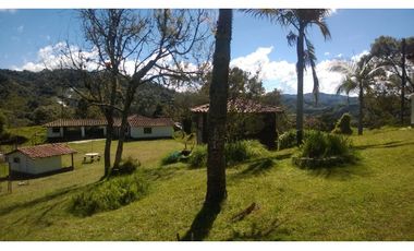 Finca en la union - Venta