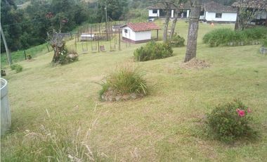 Finca en la union - Venta