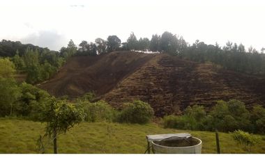 Finca en la union - Venta