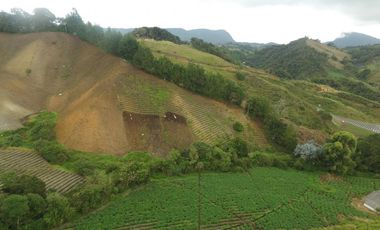 Finca en la union - Venta