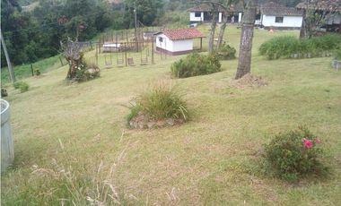 Finca en la union - Venta
