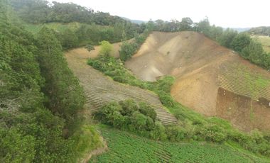 Finca en la union - Venta