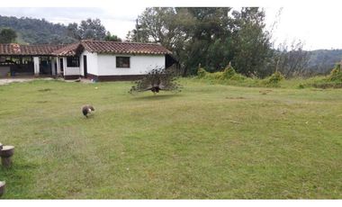 Finca en la union - Venta