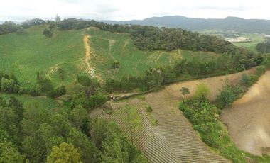 Finca en la union - Venta