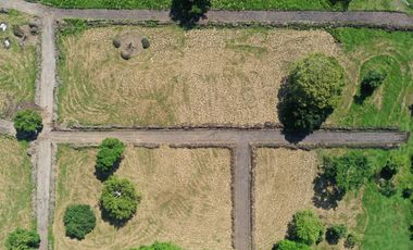 VENTA DE LOTES CAMPESTRES EN SAMPUES CONDOMINIO