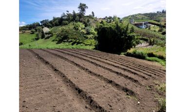 LOTES MARINILLA DESDE $250.000.000 con escritura 100%