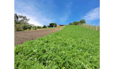 LOTES MARINILLA DESDE $250.000.000 con escritura 100%