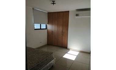 ALQUILER APARTAMENTO CONDADO DEL REY