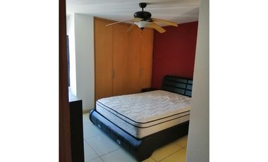 ALQUILER APARTAMENTO CONDADO DEL REY