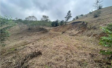 SE VENDE LOTE EN MEDIO DAPA EN UNIDAD DE 3009 M2 CON VIGILANCIA