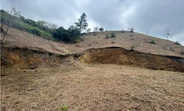 SE VENDE LOTE EN MEDIO DAPA EN UNIDAD DE 3009 M2 CON VIGILANCIA