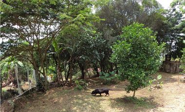 Casa Quinta en Venta Fusagasugá - Vereda La Trinidad