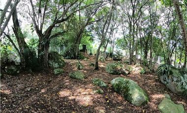 Casa Quinta en Venta Fusagasugá - Vereda La Trinidad