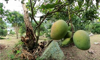 Casa Quinta en Venta Fusagasugá - Vereda La Trinidad