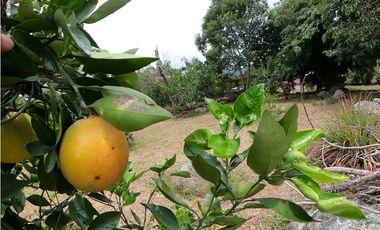 Casa Quinta en Venta Fusagasugá - Vereda La Trinidad