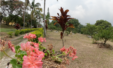 Casa Quinta en Venta Fusagasugá - Vereda La Trinidad
