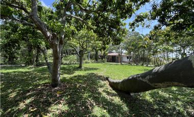 VENTA ESPECTACULAR FINCA EN JAMUNDI