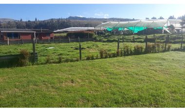 VENTA FINCA EN SUESCA