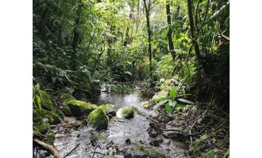 SE VENDEN MUY BUENOS LOTES VDA LA MIEL,CALDAS ENTRE 295' A 340' MM.