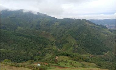 SE VENDEN MUY BUENOS LOTES VDA LA MIEL,CALDAS ENTRE 295' A 340' MM.